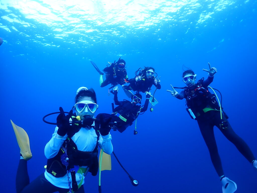 ファンダイビング | IZU DIVE MONKEY